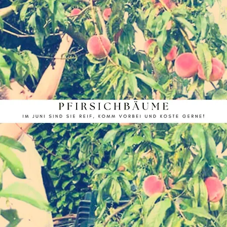 Apartment Labsalerie - Urlauben Am Wörthersee *