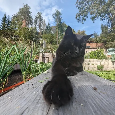Labsalerie - Urlauben Am Wörthersee Apartment *