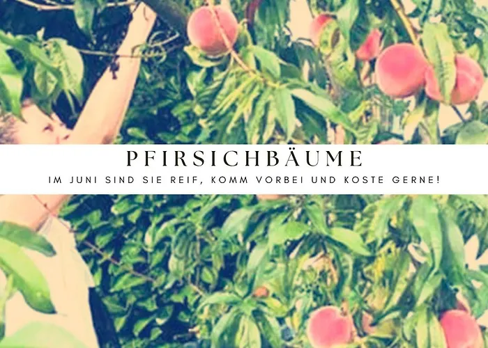 Apartment Labsalerie - Urlauben Am Woerthersee *