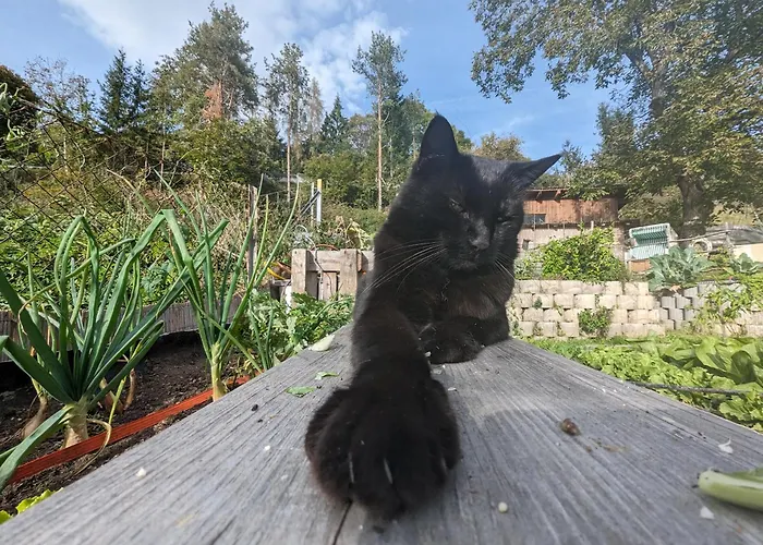 Labsalerie - Urlauben Am Woerthersee Apartment *